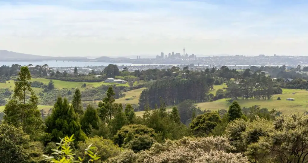 Swanson Vendors' Loss, Your Gain!