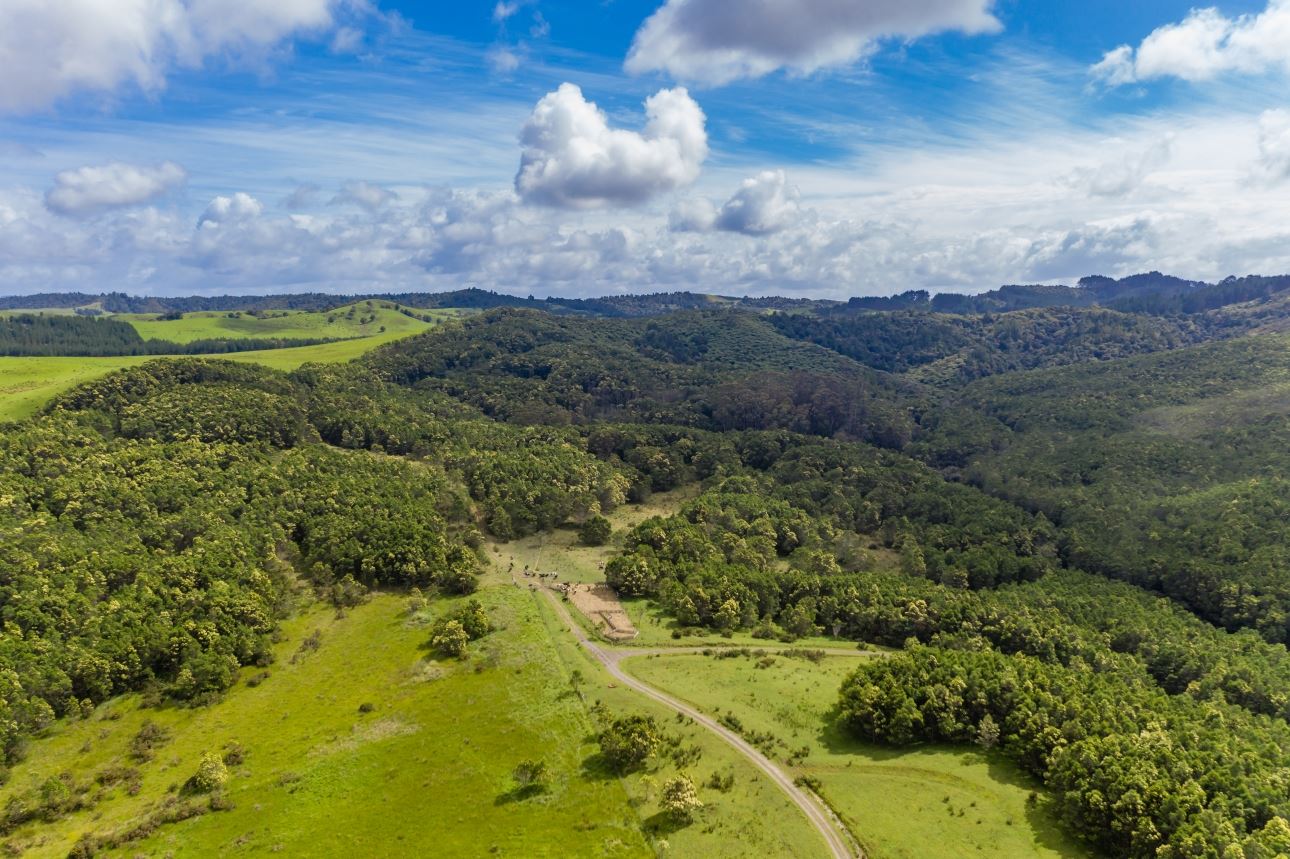 80a Jordan Road, Kaikohe, Far North, 2 rūma, 1 rūma horoi, Forestry