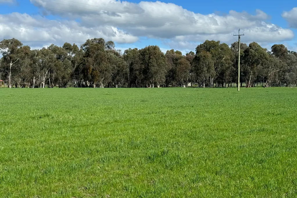 Holbrook Lot 263 Hume Highway Holbrook