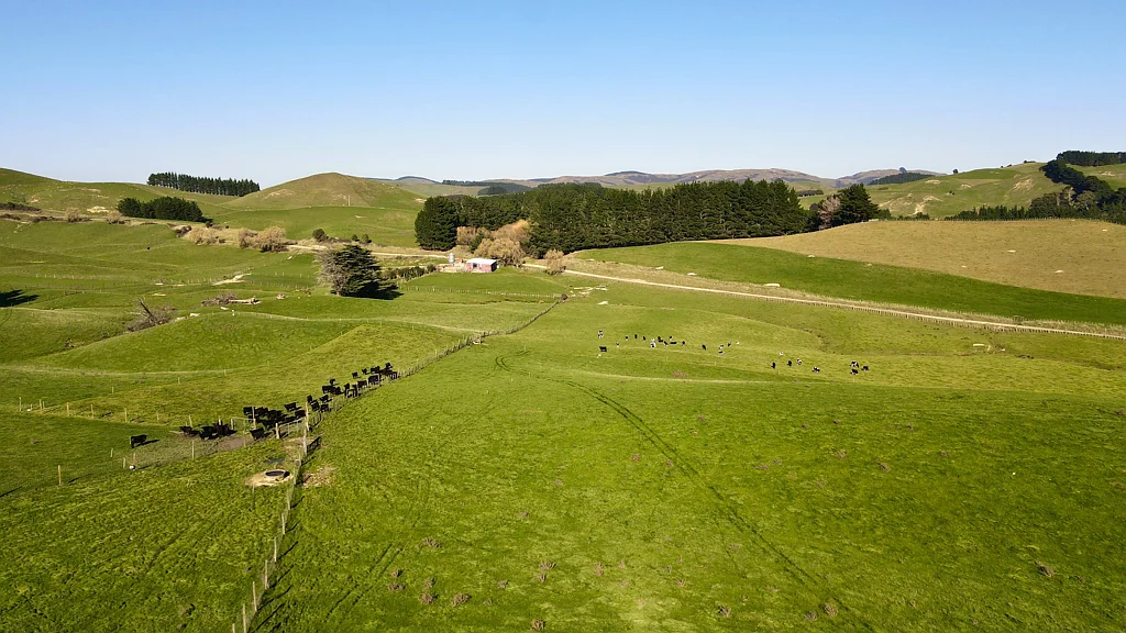 Dannevirke Superb add on or first farm opportunity