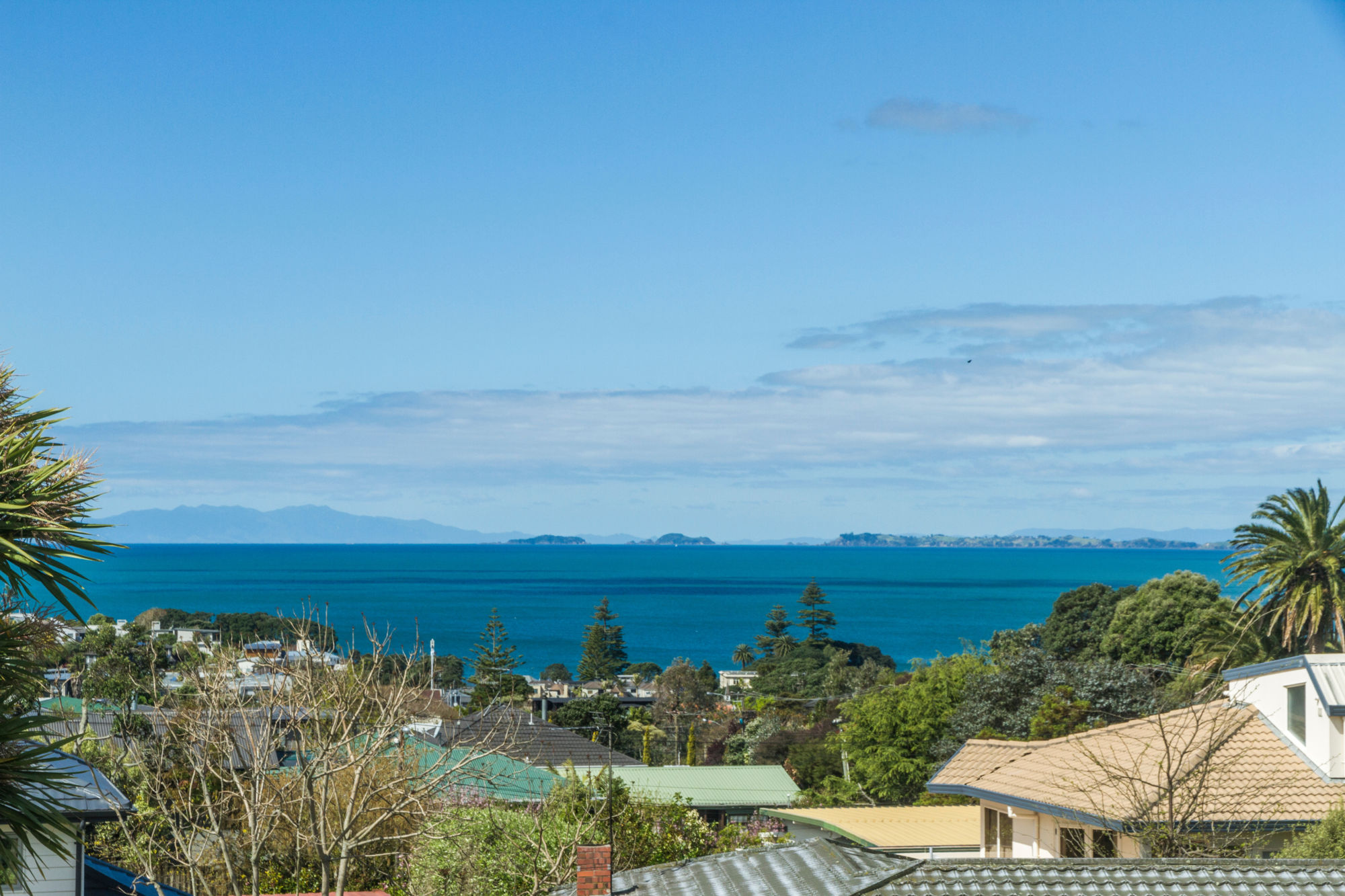 55 Hastings Road, Mairangi Bay, Auckland - North Shore, 5 कमरे, 2 बाथरूम