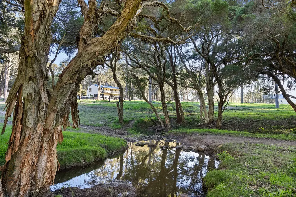 731 Glen William Road, Glen William, NSW 2321