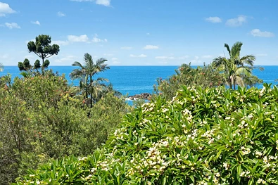 Korora 3房  Korora Bay Dreaming