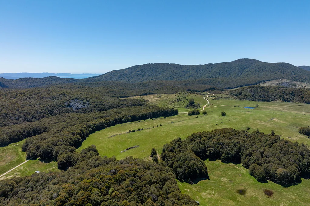 Takaka Prepper's Paradise