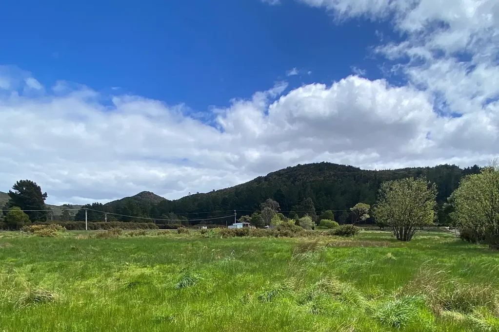 Zeehan Flat 955 m² Block with Mountain Views!