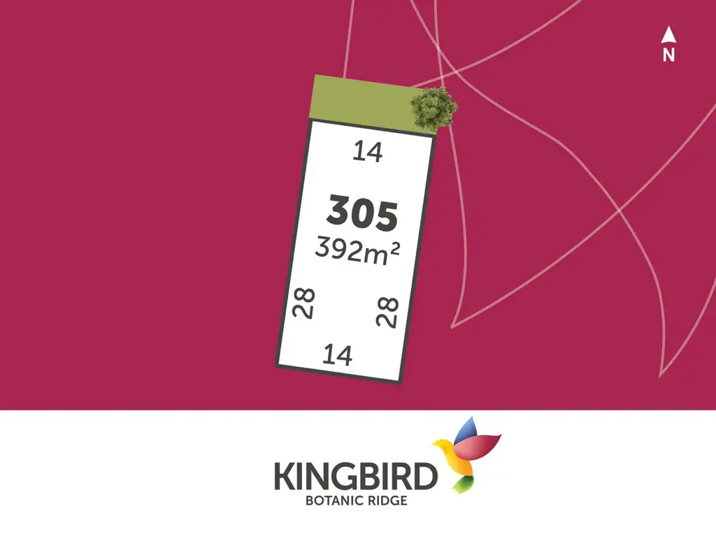 Botanic Ridge Kingbird Stage 3
