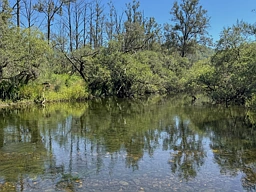 4137 Nowendoc Road, Caffreys Flat