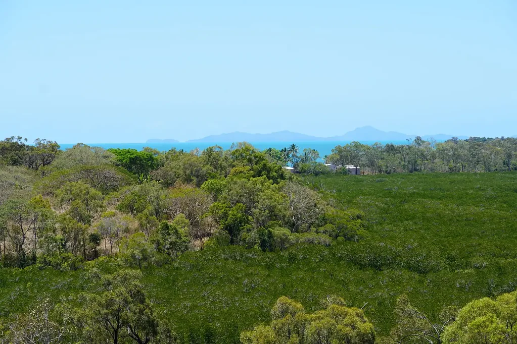 5 Harrison Court, Seaforth, QLD 4741