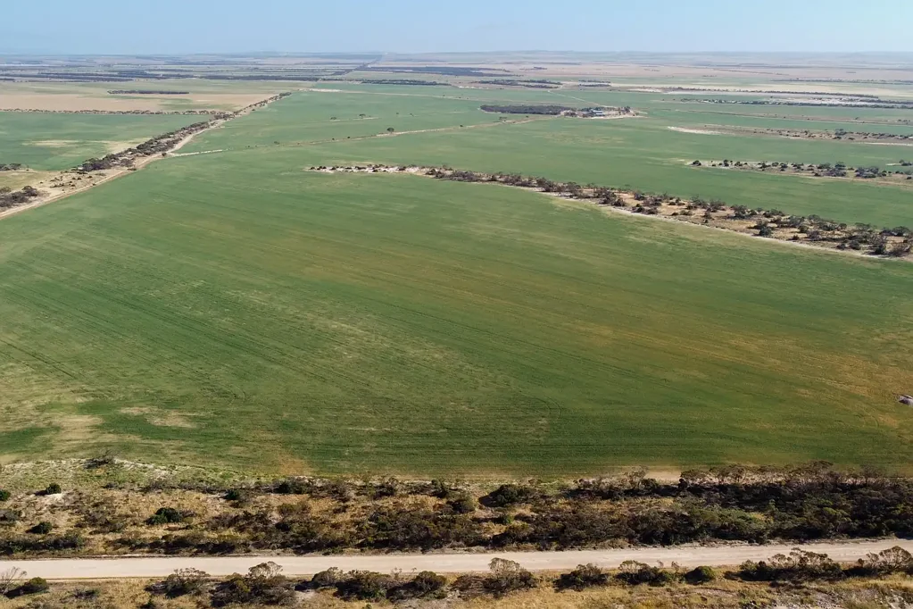 Rudall Continuous Cropping or Mixed Farming Options