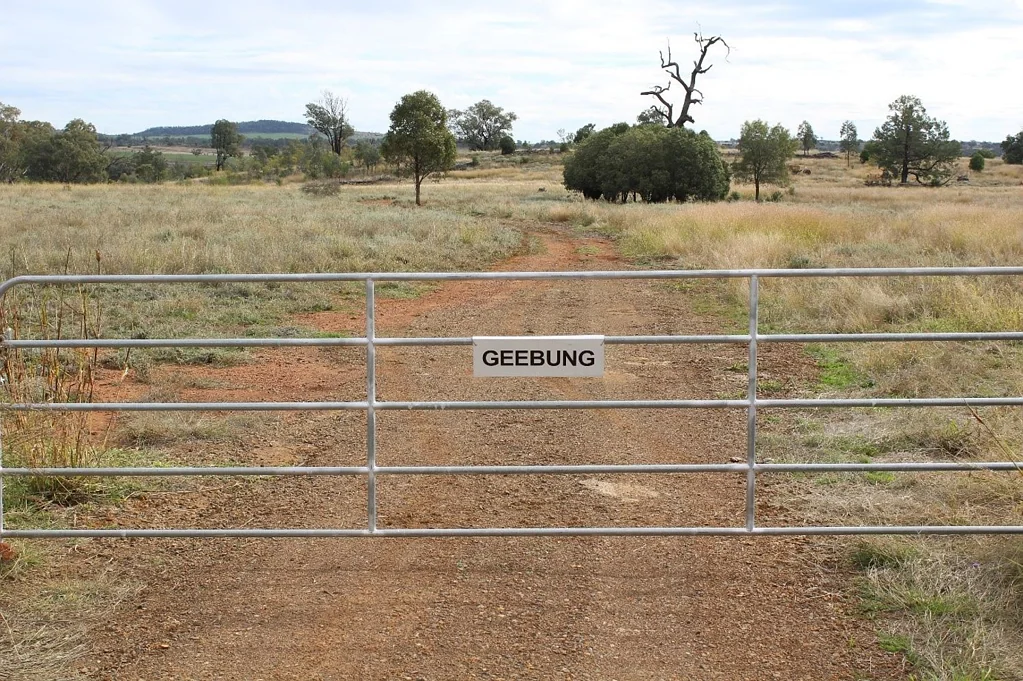 Gravesend "Geebung", Gravesend