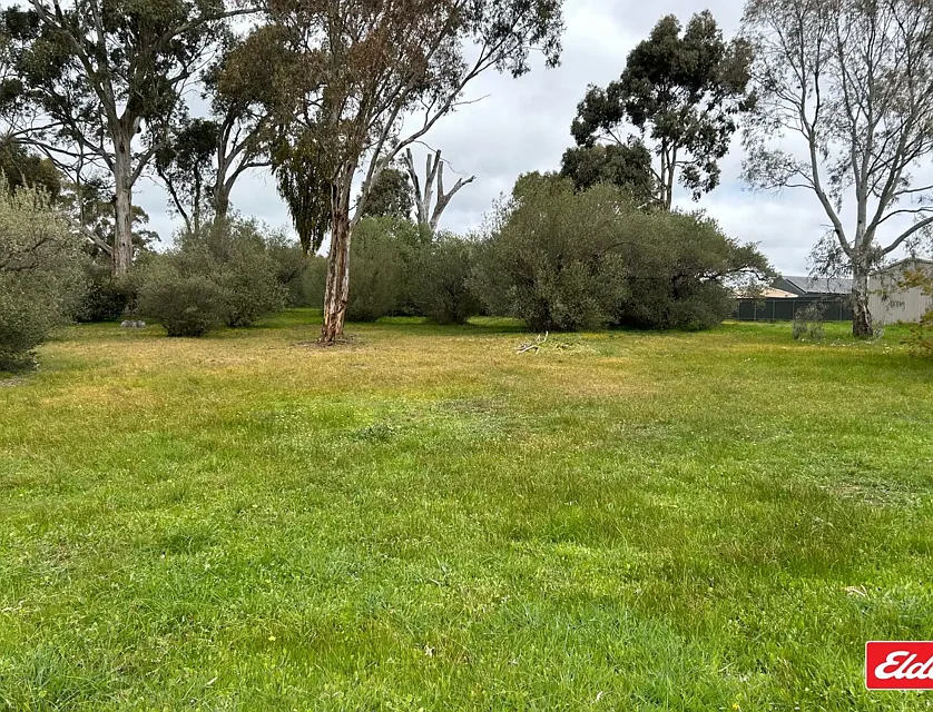 Lot 101 Church Street, Williamstown, Barossa - Yorke - Mid North, 0 chambres, 0 salles de bain, Section