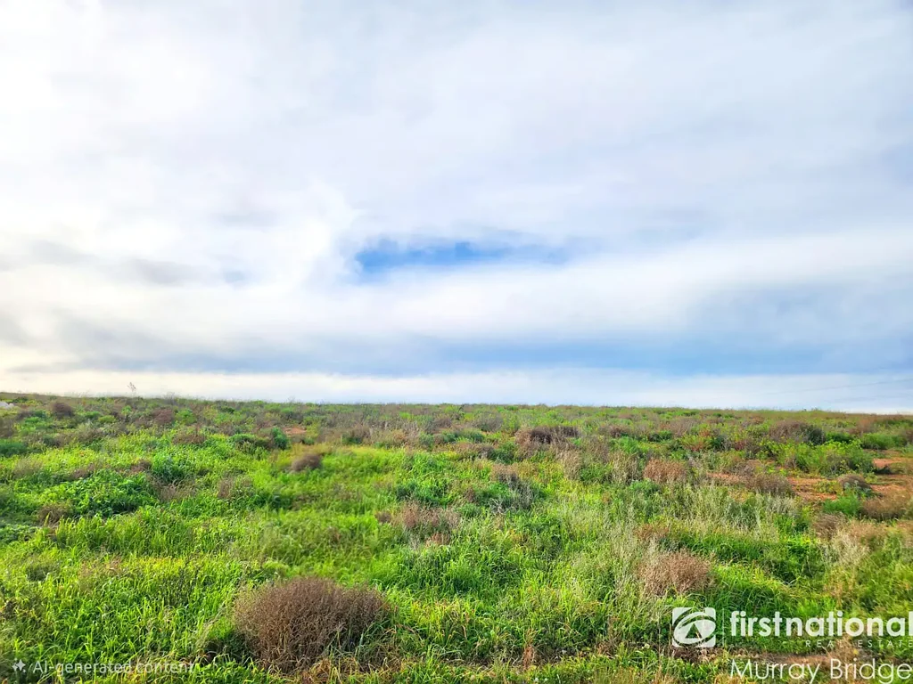 Murray Bridge  Wonderful Extra Large parcel of land  1ha (2.5acres)