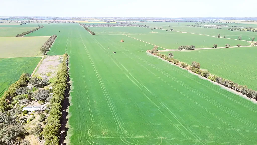 Young  'KIMBRAYE' ESTATE AUCTION