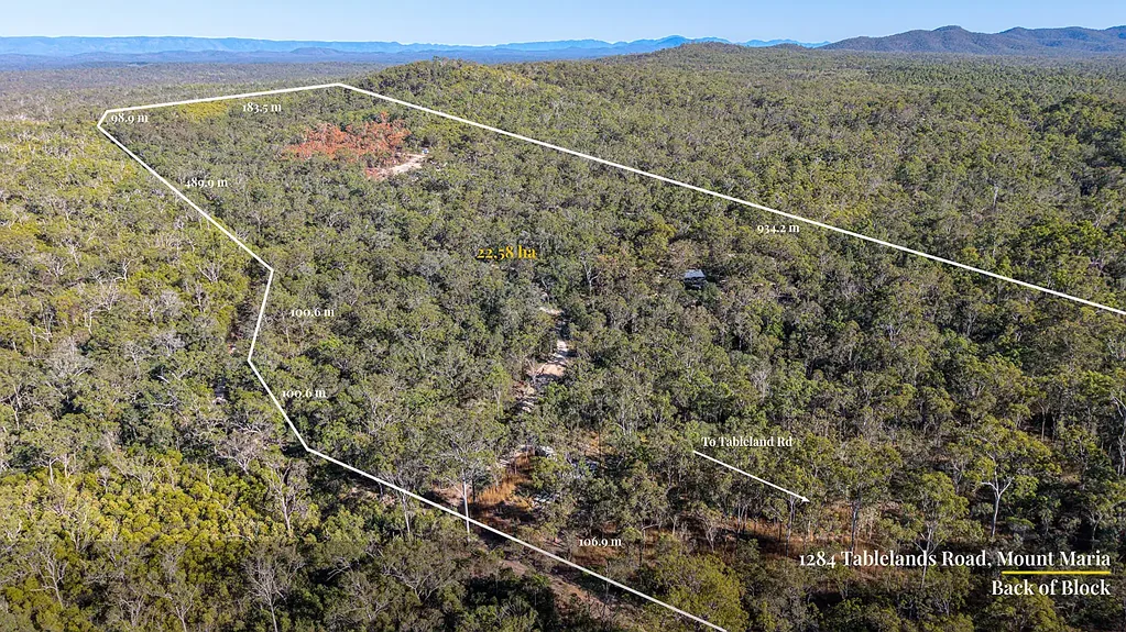 Mount Maria  55 Acres of Peace, Privacy & Endless Potential