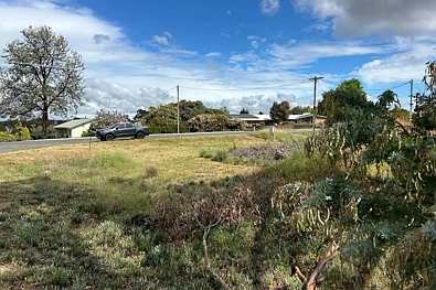 22 Broadway, Dunolly, VIC 3472, 0 Kuwarto, 0 Banyo, Lifestyle Property