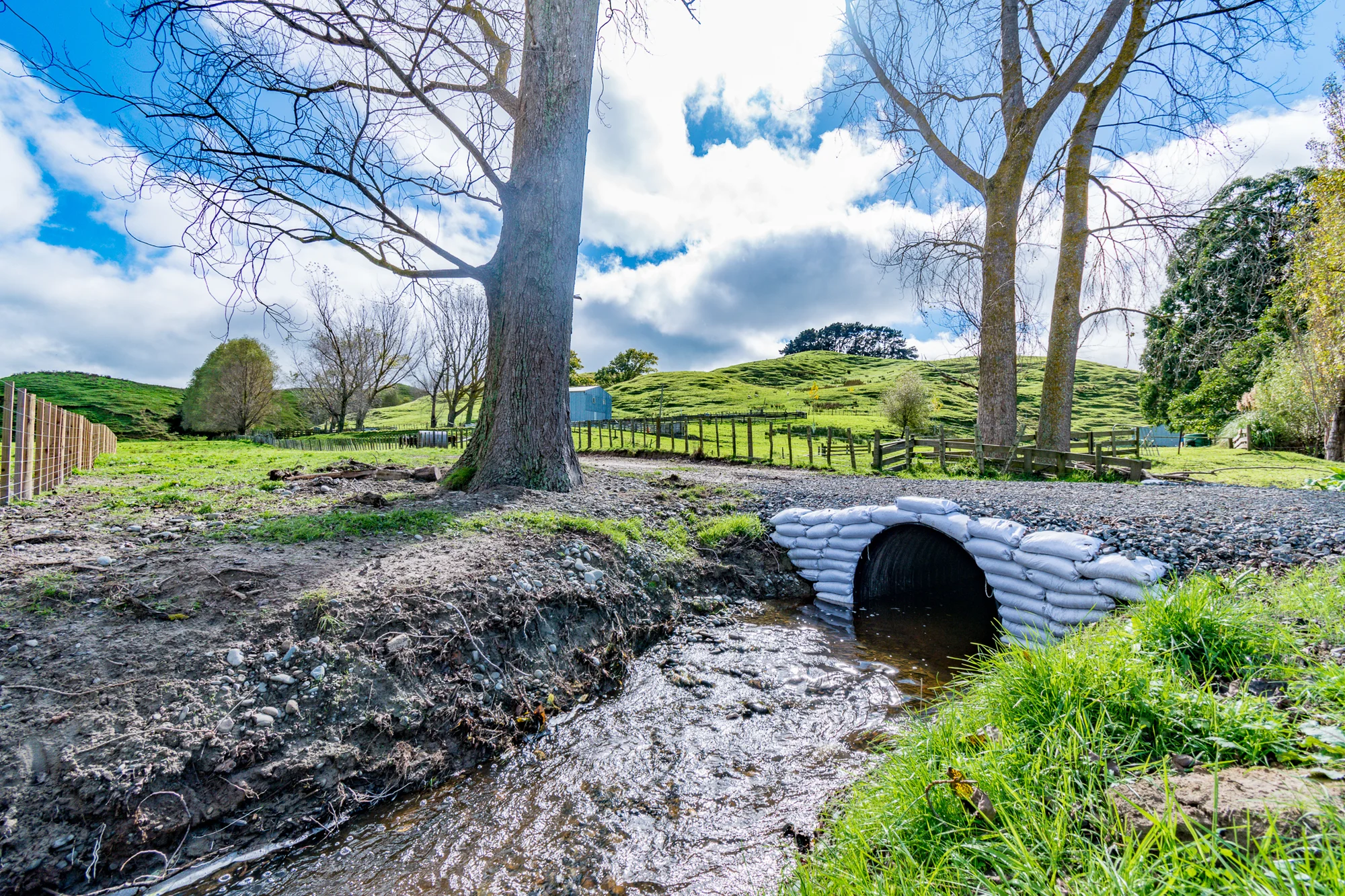 411 Valley Road, Colyton, Feilding, Manawatu, 0 Bedrooms, 0 Bathrooms, Lifestyle Section