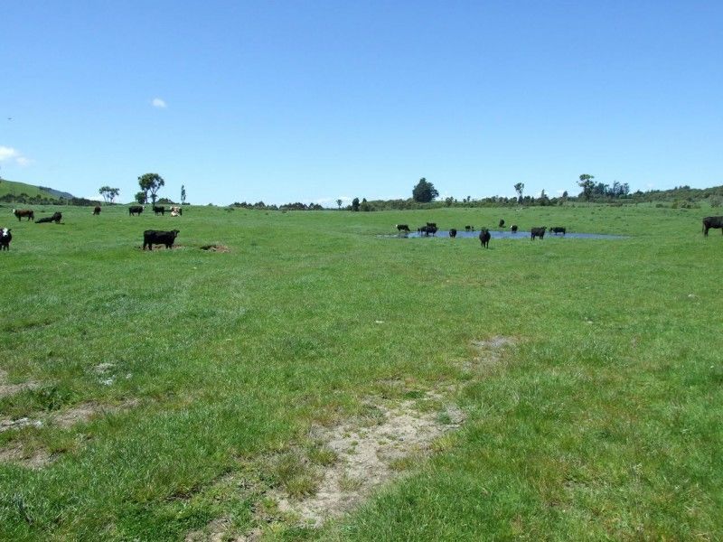 1458 State Highway 41, Kuratau, Taupo, 0 rūma, 1 rūma horoi