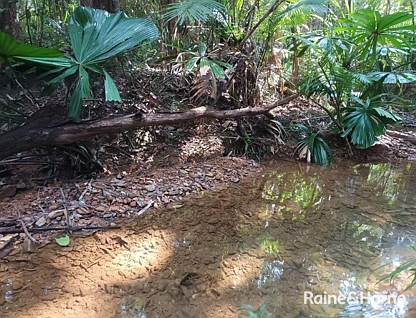 Lot 54 George Road, Forest Creek, Daintree, Cairns, 0 રૂમ, 0 બાથરૂમ, Section