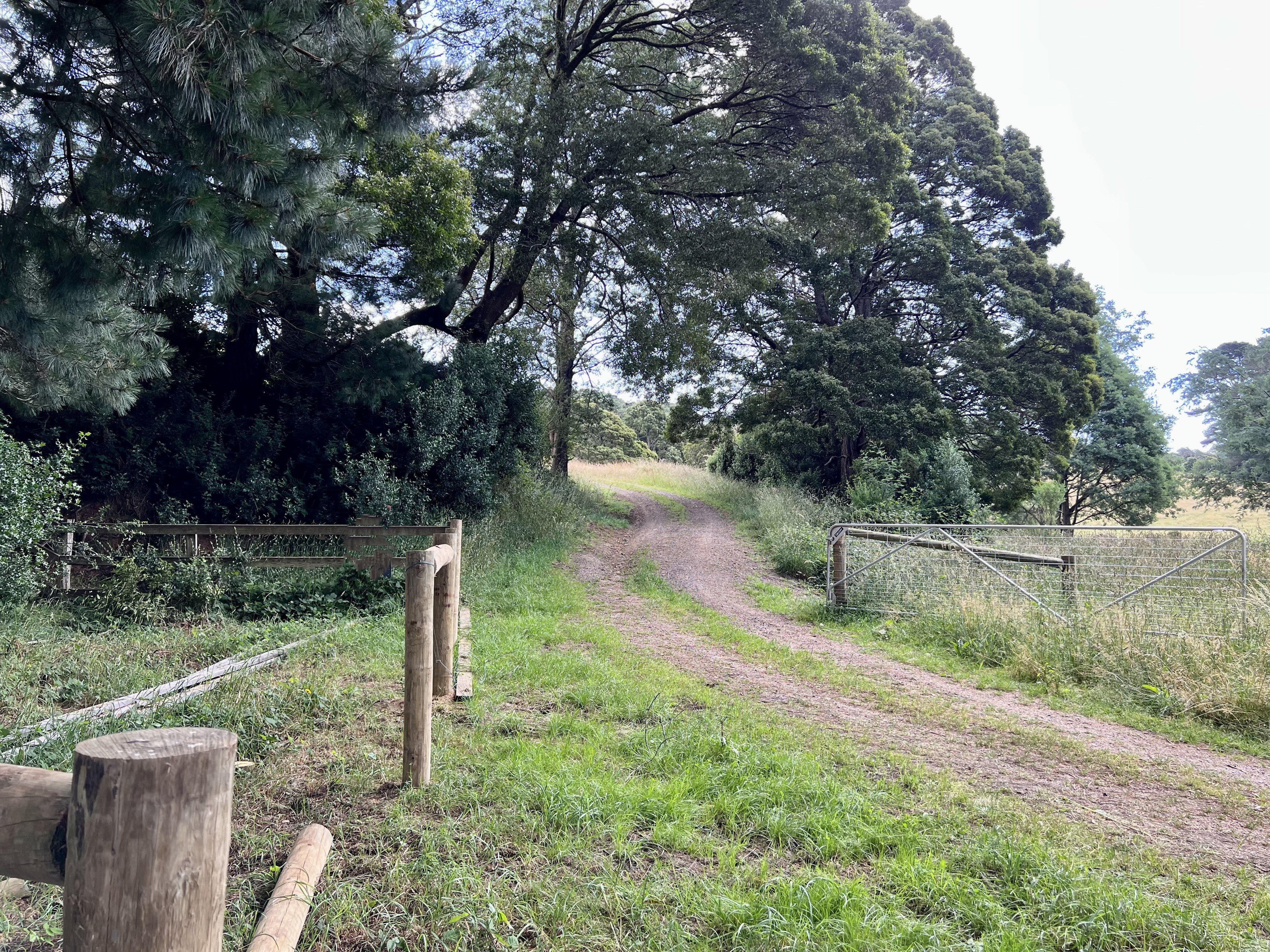 477 CEMETERY RD, WELDBOROUGH TAS 7264, 0 રૂમ, 0 બાથરૂમ, Lifestyle Property