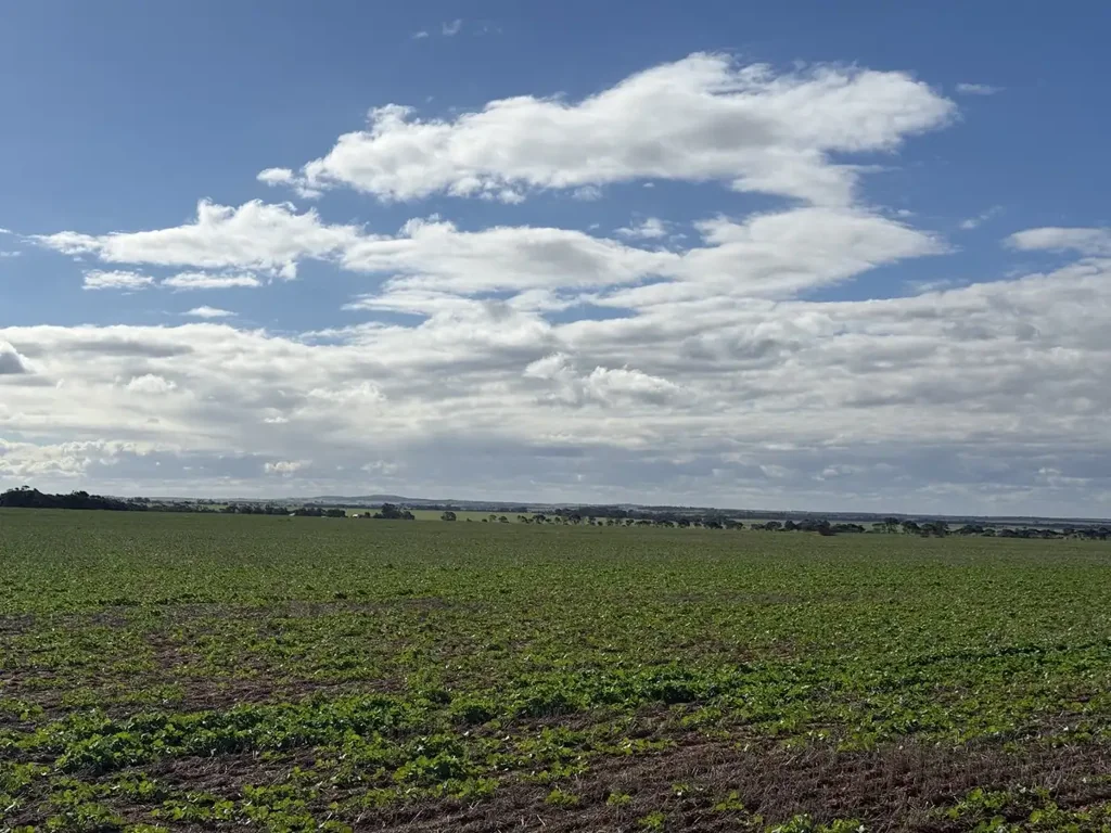 Neales Flat  Reliable Cropping Country with Mains Water
