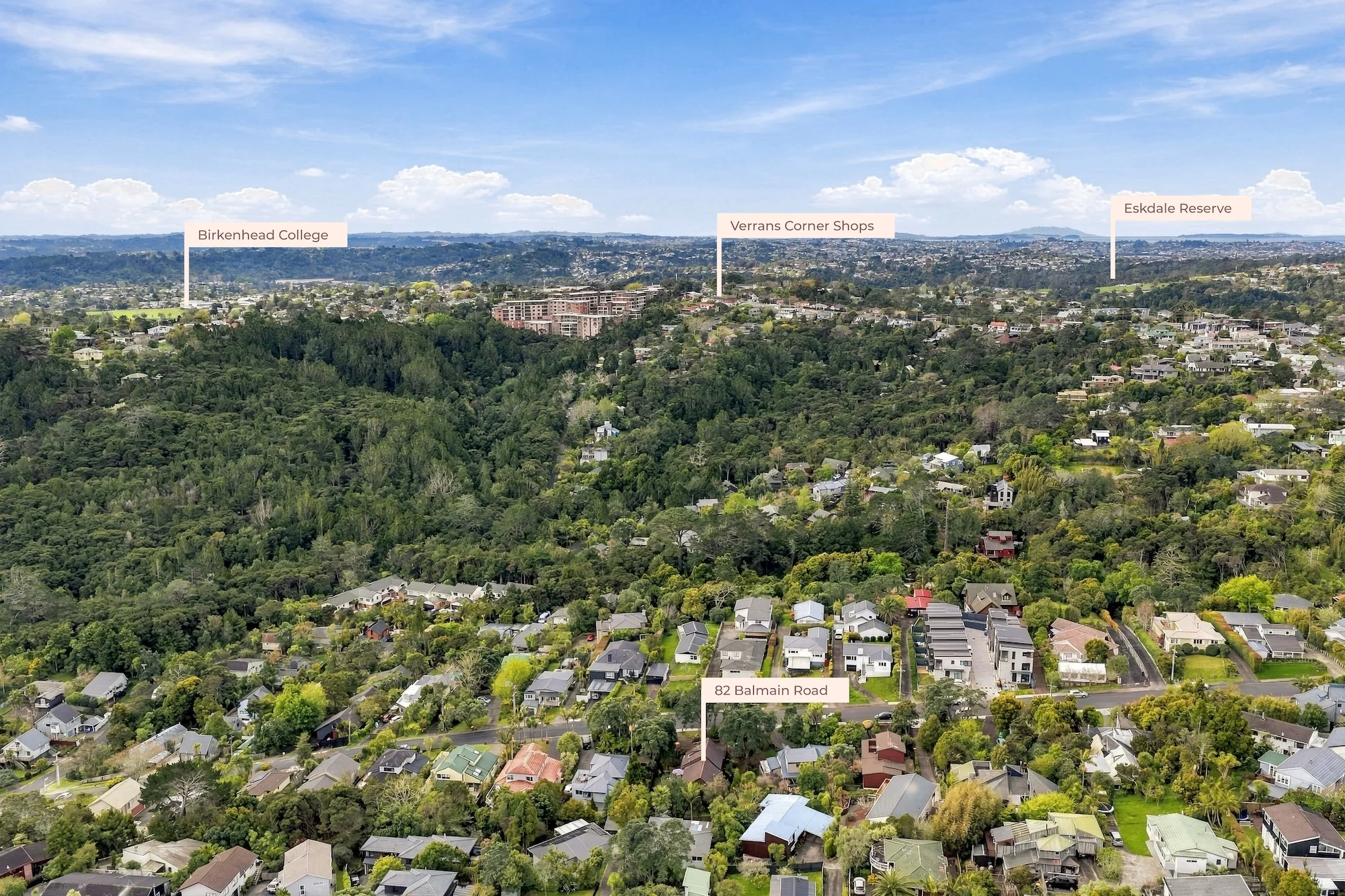 82 Balmain Road, Chatswood, photo 11
