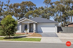 10 Eucalyptus Street, Jackass Flat