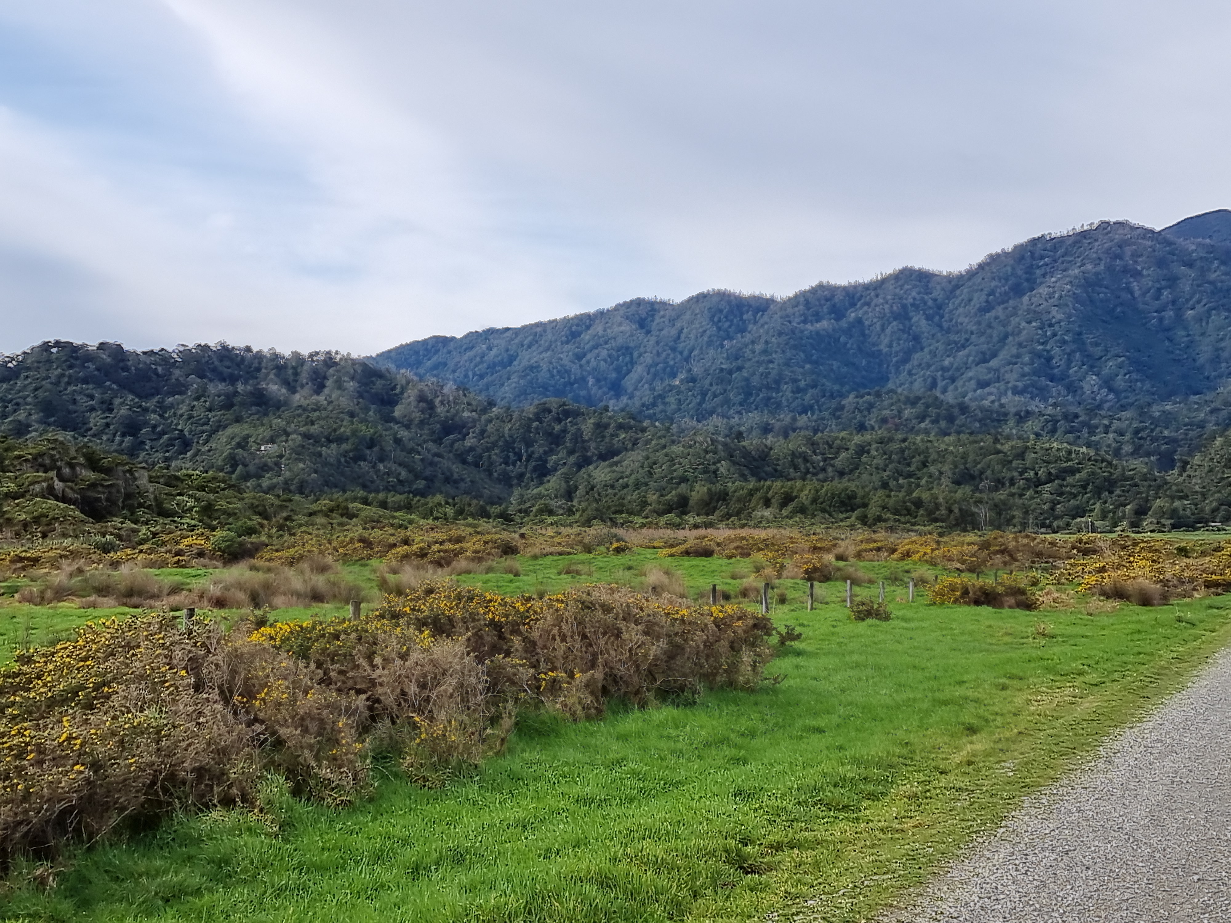 Burke Road, Makarau, Auckland - Rodney, 0 غرف, 0 حمامات, Grazing