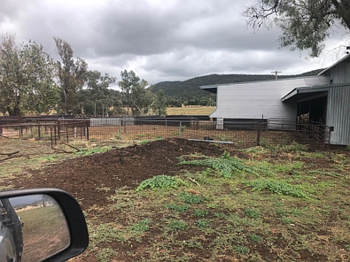 829 EULIMORE ROAD, Eugowra, NSW 2806, 0 Bedrooms, 1 Bathrooms, Lifestyle Property