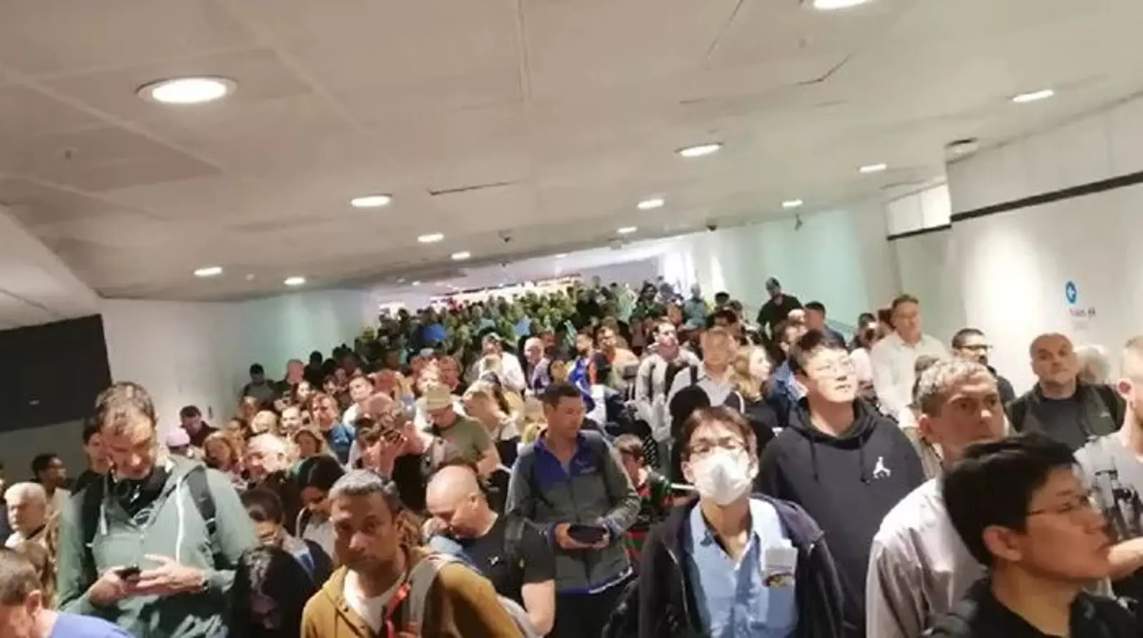 悉尼机场又出事！史上最大面积延误！惨遭全民diss，排队排到怀疑人生！