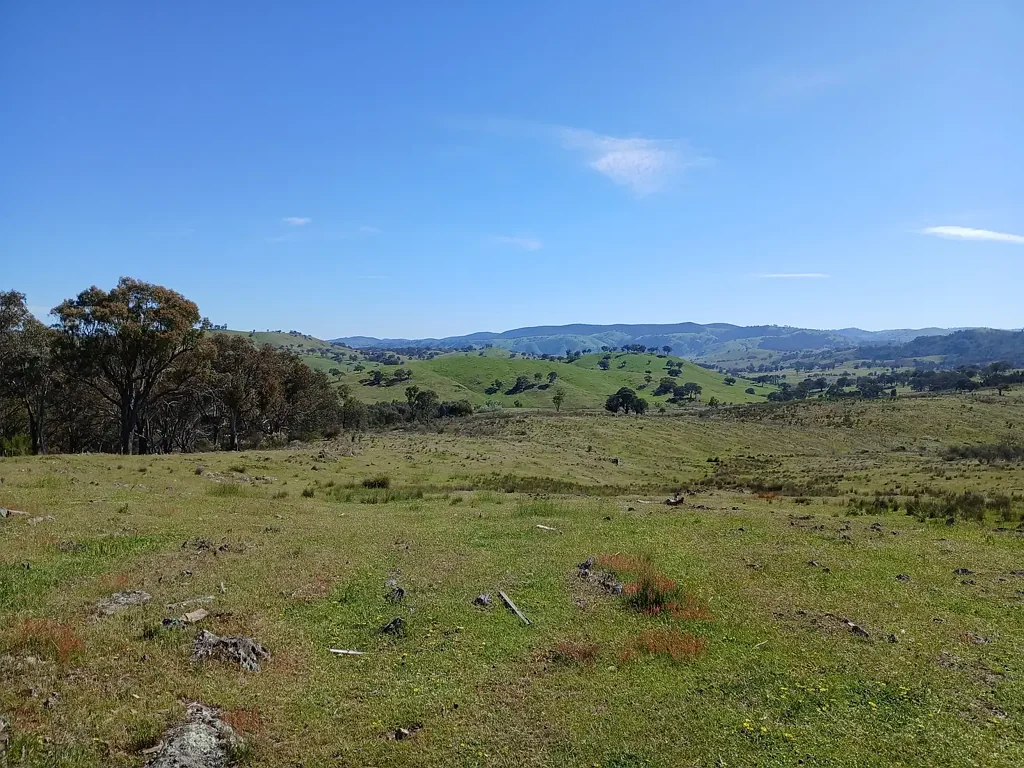 Taylors Flat  461 Acres - Panoramic pasture land in Taylors Flat