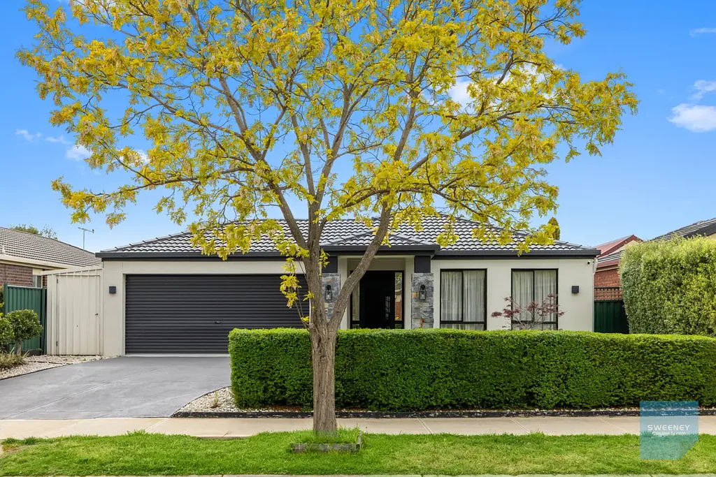 Burnside 4Moenga Where Family Living Meets Modern Style