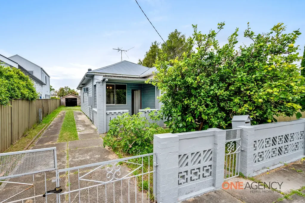 20 Southon Street, Mayfield, NSW 2304
