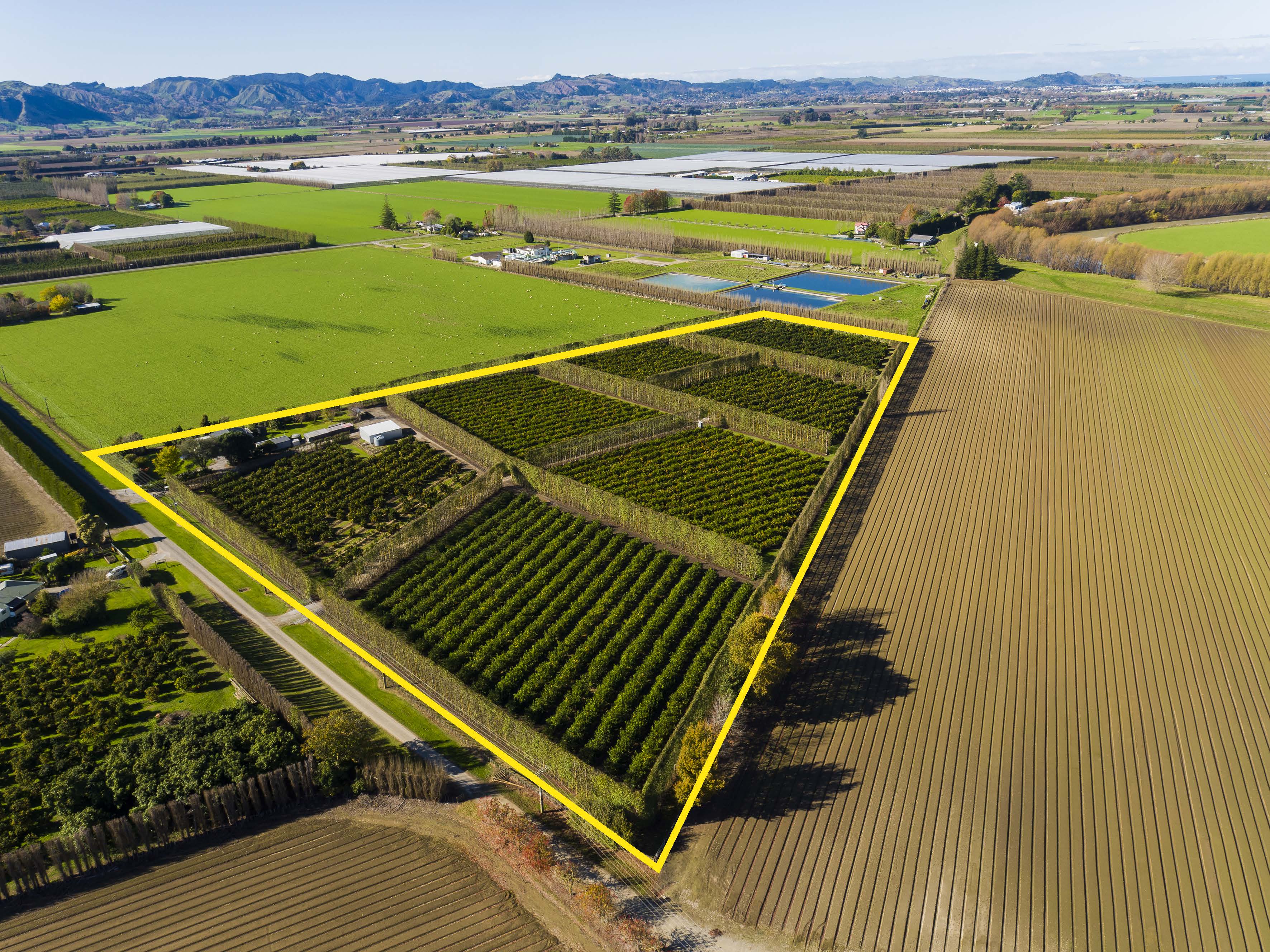 47 Bolitho Road, Hexton, Gisborne, 4房, 0浴