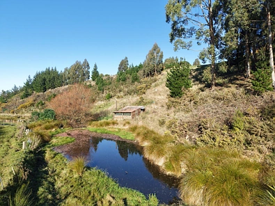 3 Mackenzie Point Rise, Oamaru North, Waitaki, 0 Bedrooms, 0 Bathrooms, House