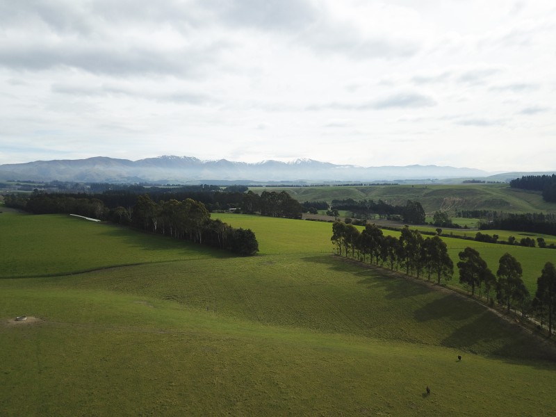 735 Esk Valley Road, Otaio, Waimate, 0 Kuwarto, 0 Banyo