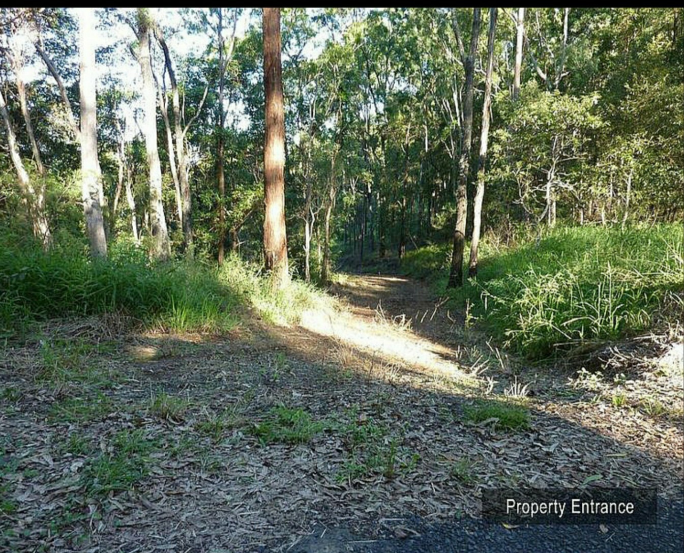 1001 GRANDVIEW RD, UPPER BROOKFIELD QLD 4069, 0房, 0浴, Section