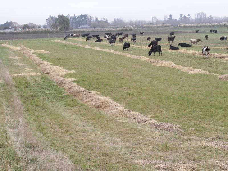 35 Hook Station Road, Makikihi, Waimate, 0 habitaciones, 1 baños