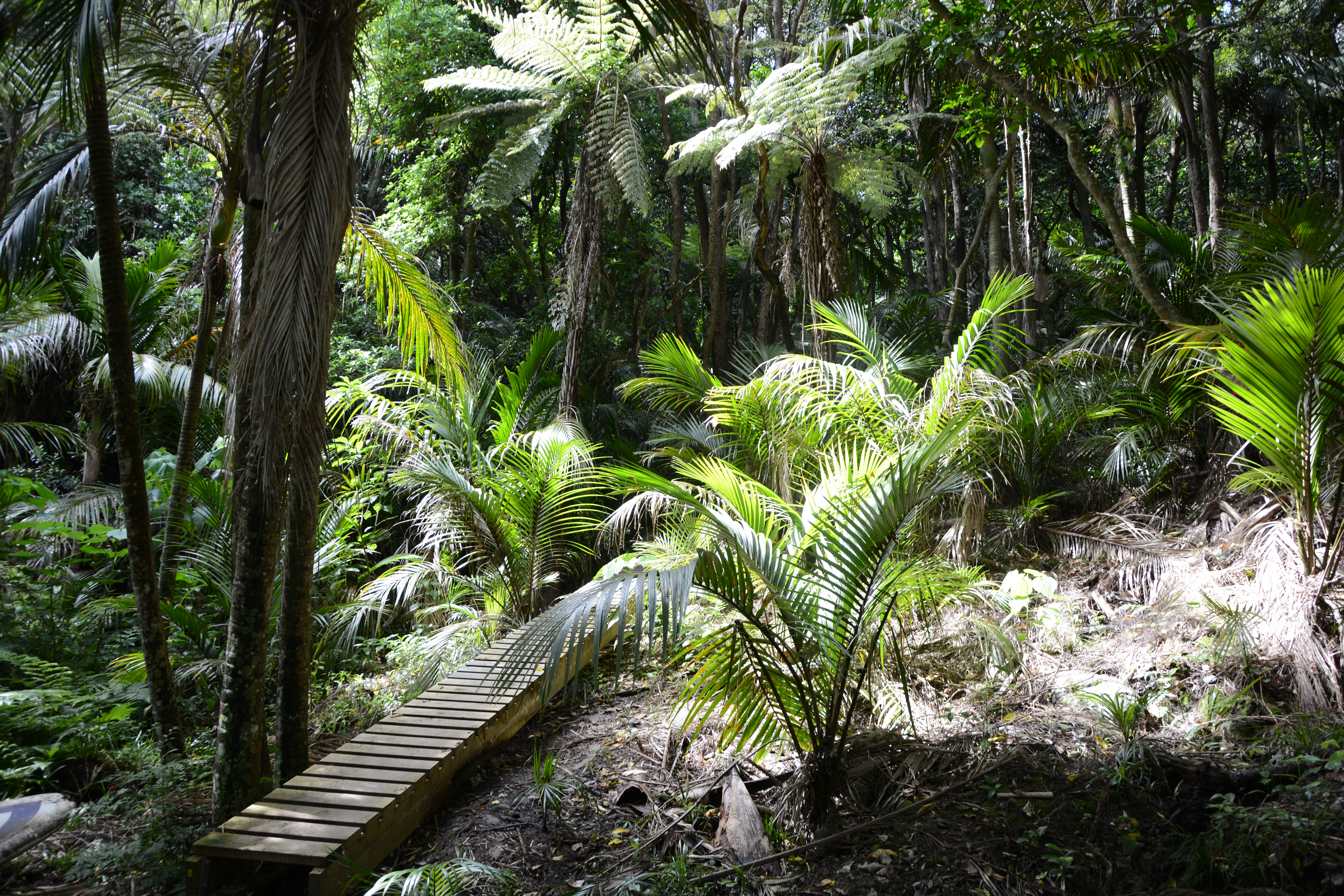 Hauraki Gulf Islands