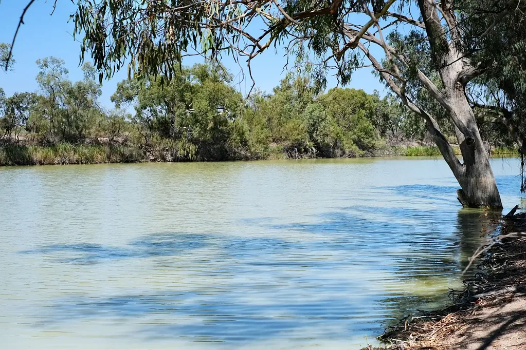 Lot 19 Darling River Estate, Pomona Road, Wentworth, NSW 2648