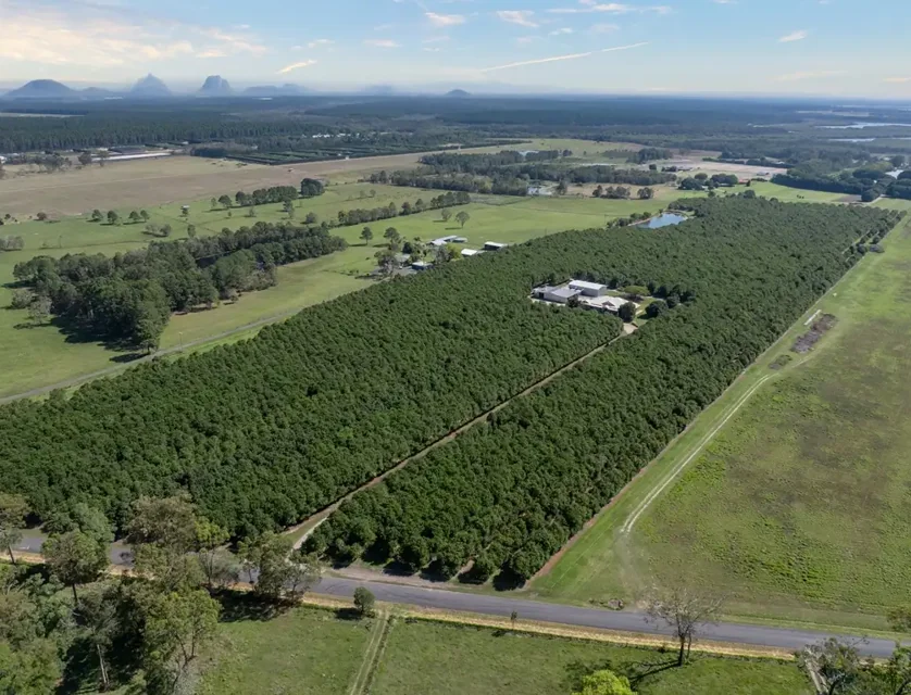 32 Beerburrum Donnybrook Road, Donnybrook, QLD 4510, 4 ਕਮਰੇ, 2 ਬਾਥਰੂਮ, Lifestyle Property