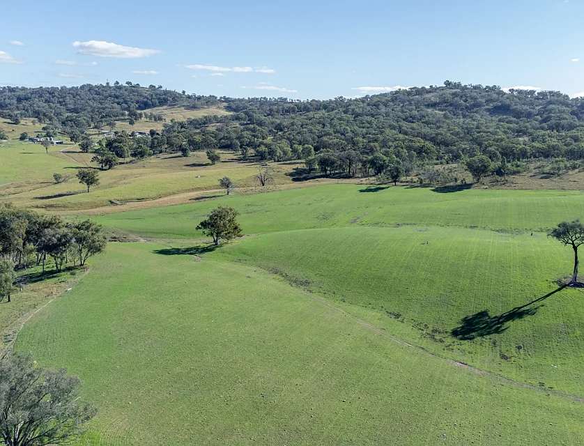 1210 Macintyre Road, Barraba, Tamworth, 5房, 3浴, Lifestyle Property