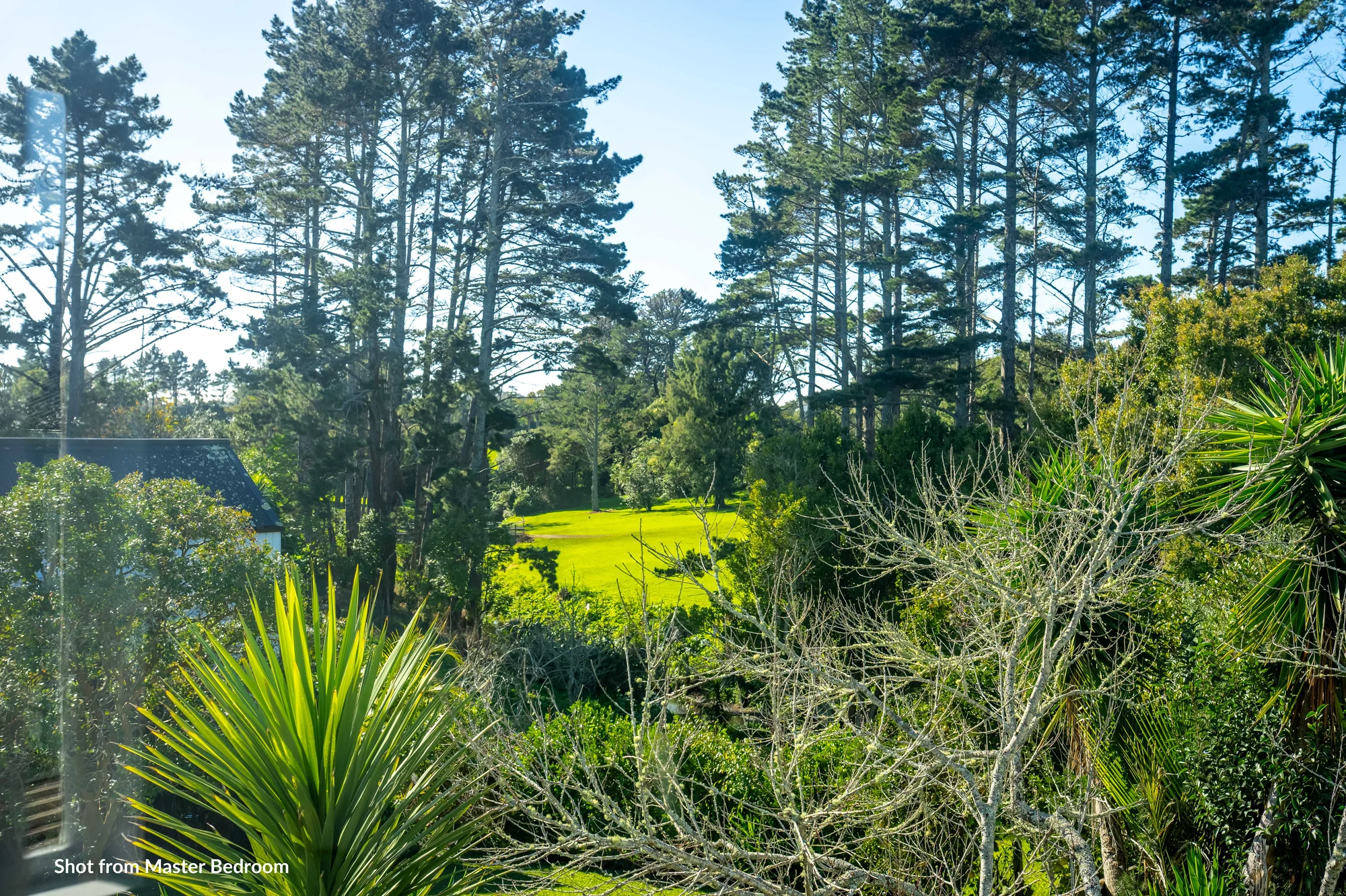 Mount Albert 3房  Reserve-boundary magic to live or build on