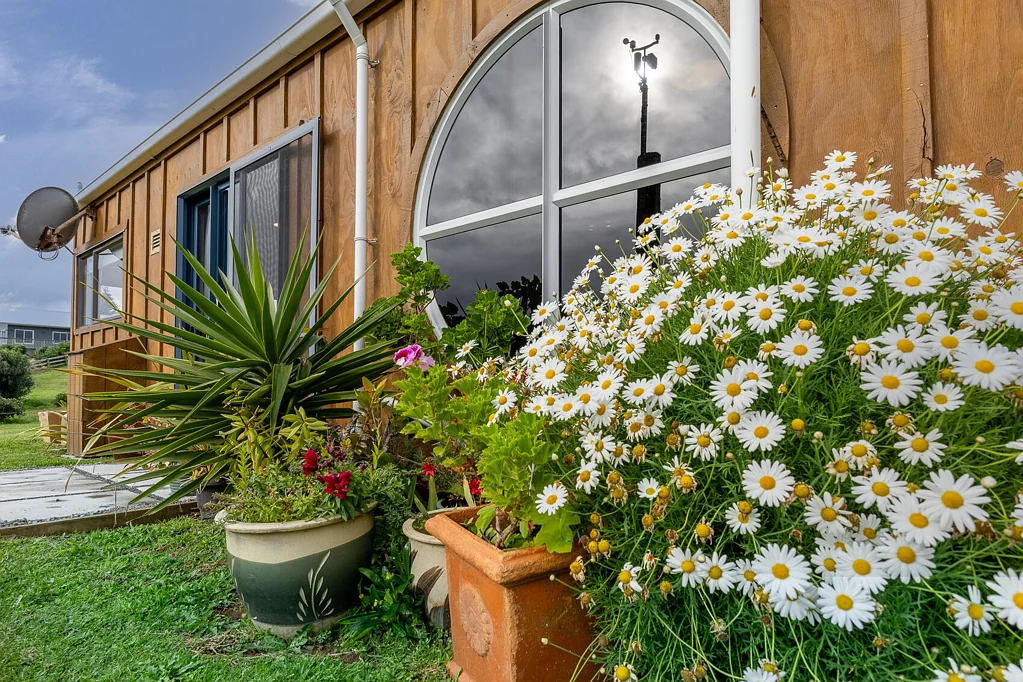 Dargaville Surrounds 2غرفة نوم Crafted Retreat With Potential Potential