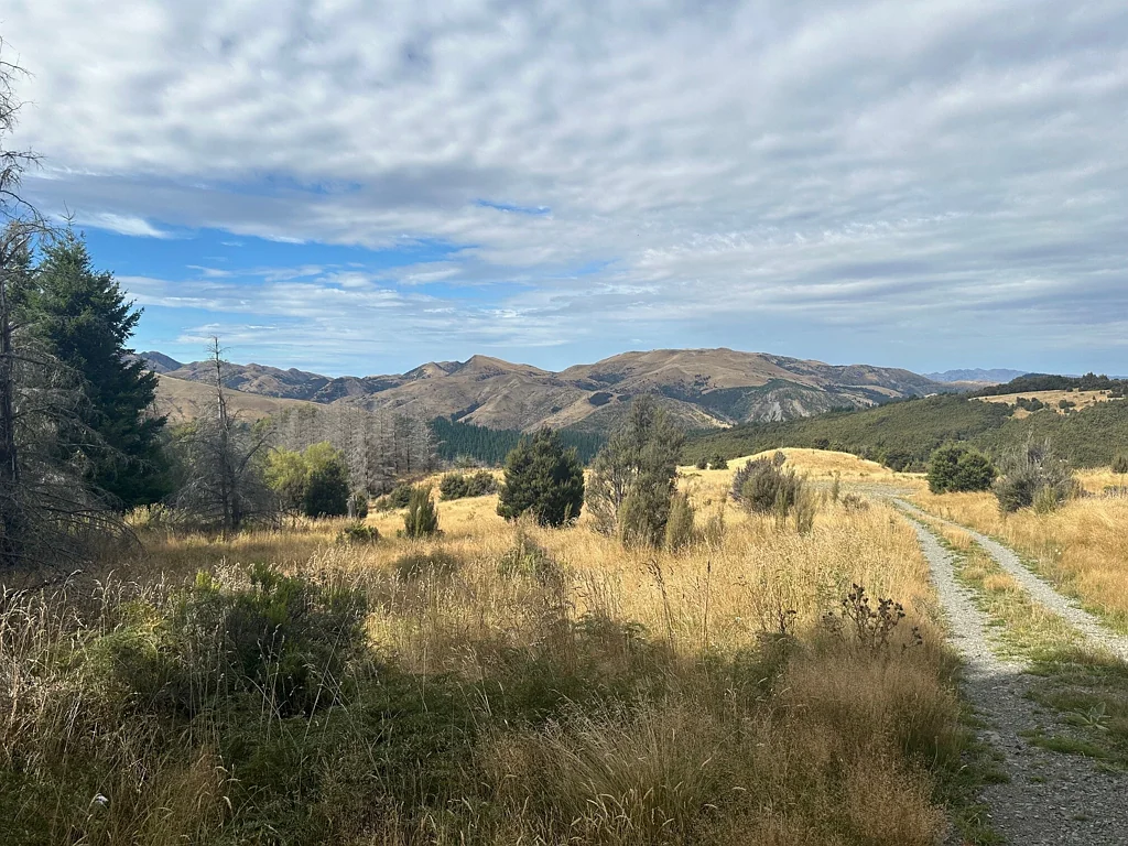 Lyford Enchanting Slice of New Zealand!
