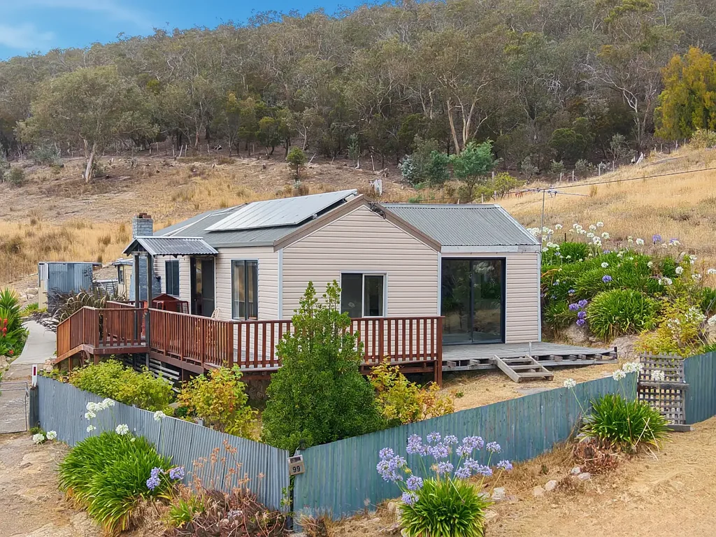 99 Downhamstown Road, Grasstree Hill, TAS 7017