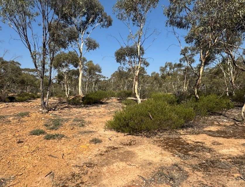 2-20 Godfrey Street, Wedderburn, Bendigo, 0房, 0浴, Lifestyle Property