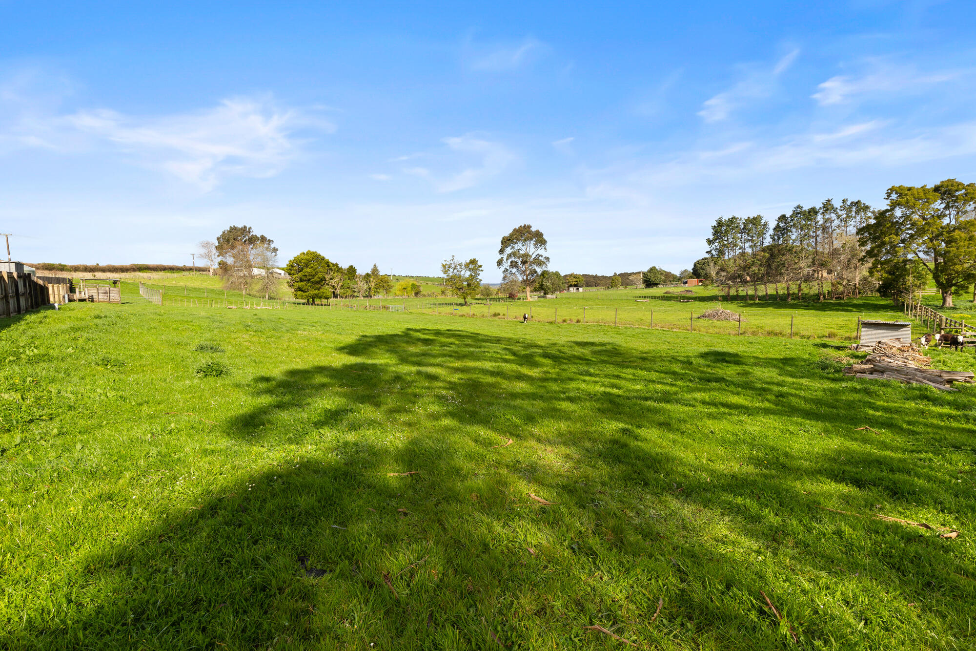 210 Morrison Road, Pukekawa, photo 7