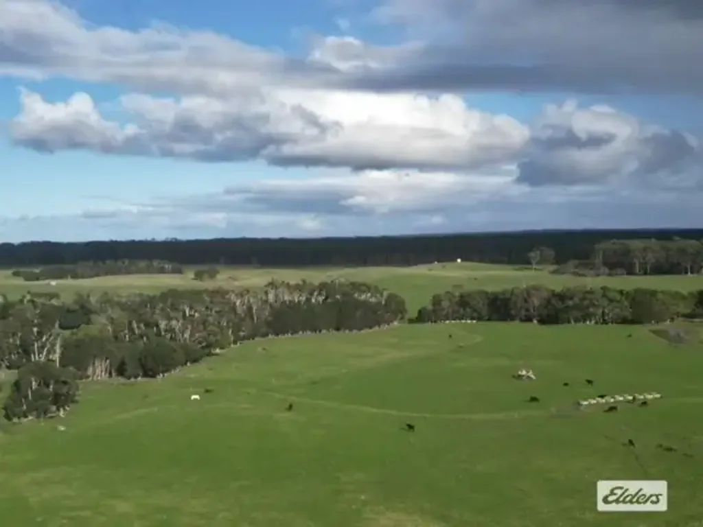 Lymwood EXCEPTIONAL OPPORTUNITY FOR LIVESTOCK