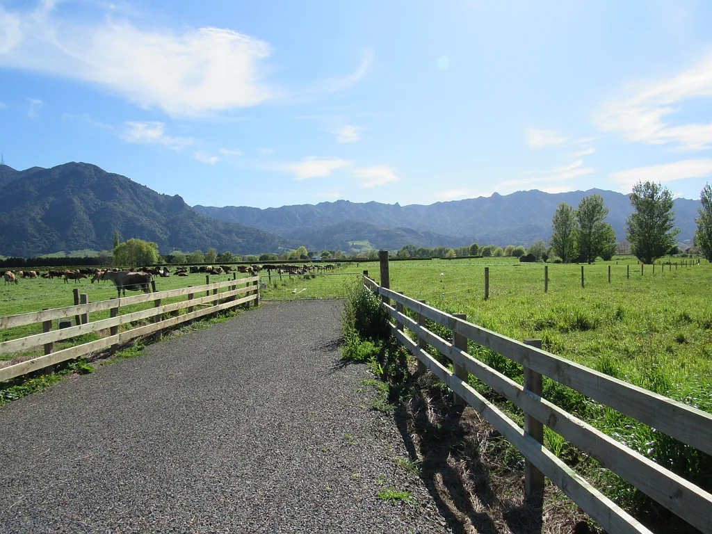 Te Aroha Blank Canvas Lifestyle