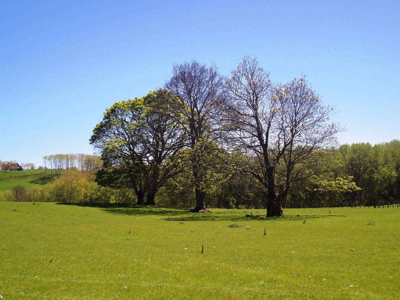 Waituna Tapuae Road, Waituna West, Manawatu, 0 phòng ngủ, 1 phòng tắm